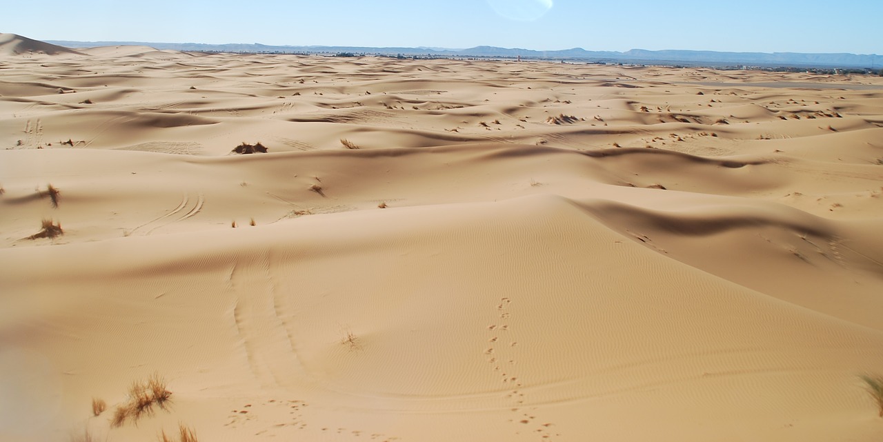 Photo Excursion organisée à Merzouga - Maroc