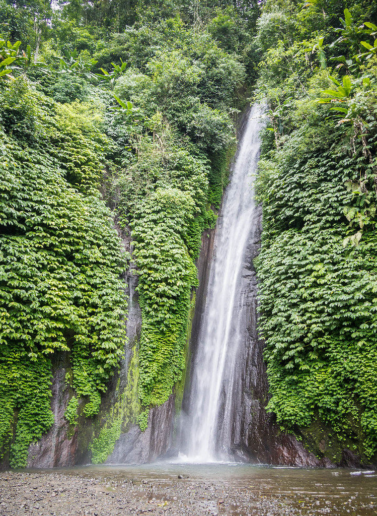 Photo Munduk - Indonésie